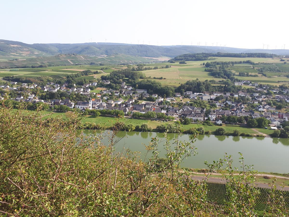 Gaestehaus Jufferpanorama * Brauneberg