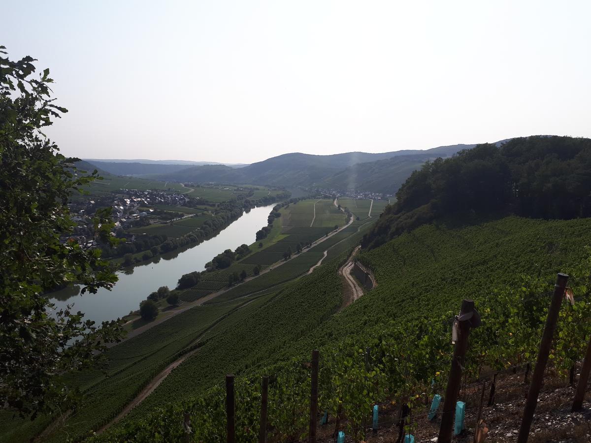 Gaestehaus Jufferpanorama Gasthof *
